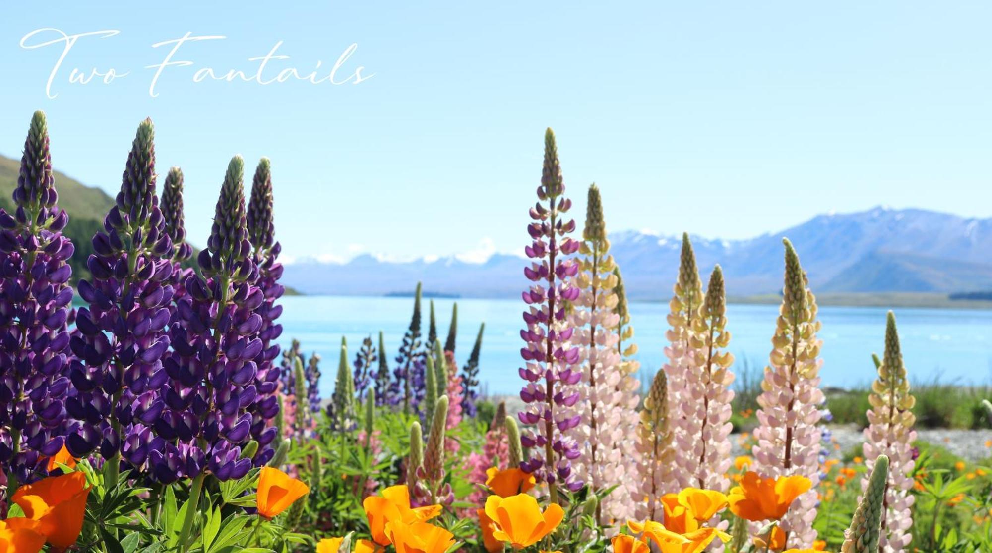 Villa Two Fantails - Mountain Views à Lac Tekapo Extérieur photo